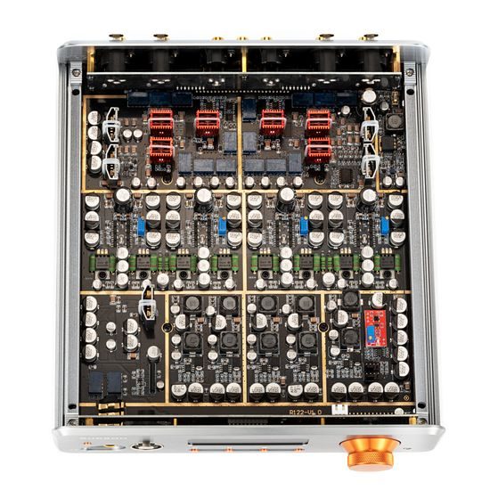 Burson Audio Soloist GT4 MAX R220