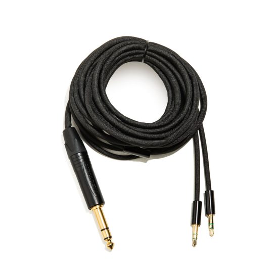 HIFIMAN HE-R10P