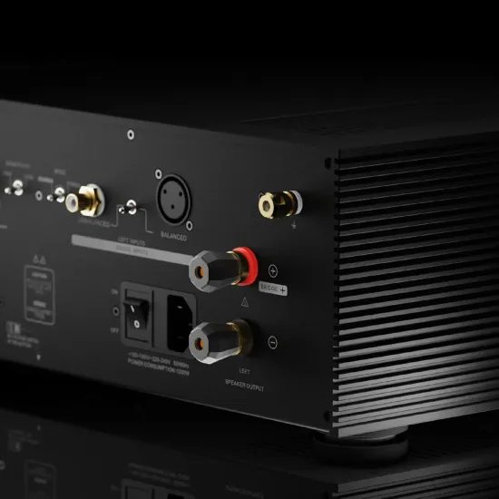 Eversolo AMP-F8