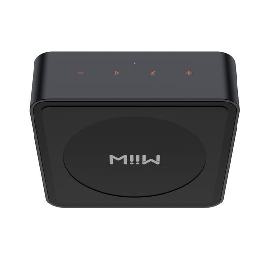 WiiM Pro PLUS (rozbaleno)