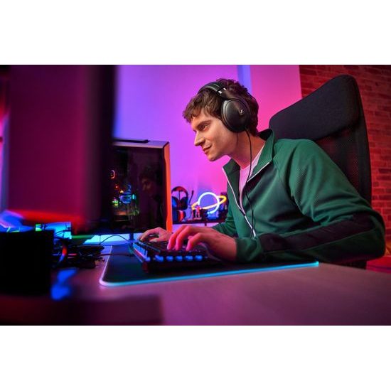 Sennheiser HD 620S