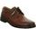 Polobotky Josef Seibel Alastair 01 cognac-kombi 42801 860 371