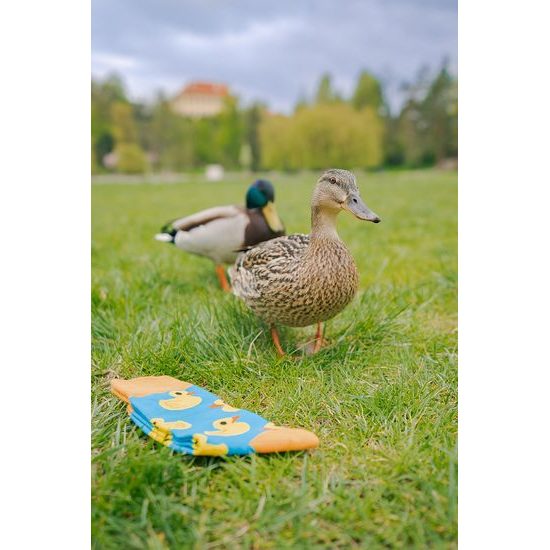 Veselé bavlněné ponožky kačenky modré
