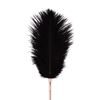 Rosy Gold - Feather Tickler & Whip