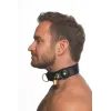 Master Series Tracer Tracking Collar Black