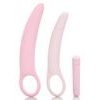 California Exotic Novelties Inspire Silicone Dilator Kit