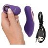 Sweet Smile Remote Controlled Panty Vibrator