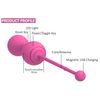 Magic Motion Smart Kegel Master Balls