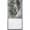 FANTASY ART OF ROYO - 2019 CALENDAR