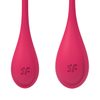 Satisfyer Yoni Power 1 red