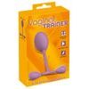 Vaginal Trainer with Bouncing Weights You2Toys