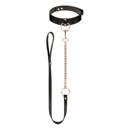 Obojok s vodítkom Rosy Gold Collar with Leash čierny