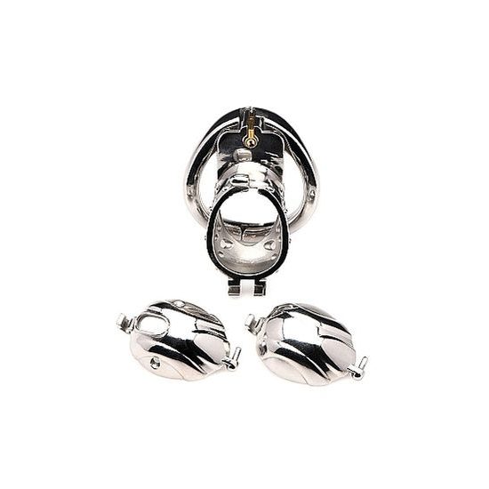 Master Series Deluxe Locking Chastity Cage