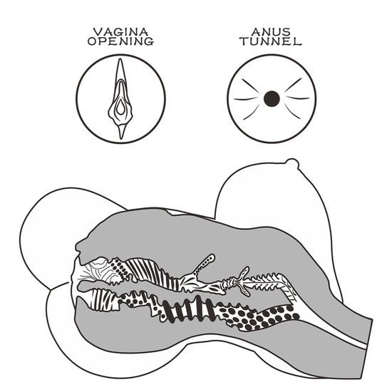 LoveToy Streetgirl's #6 Black