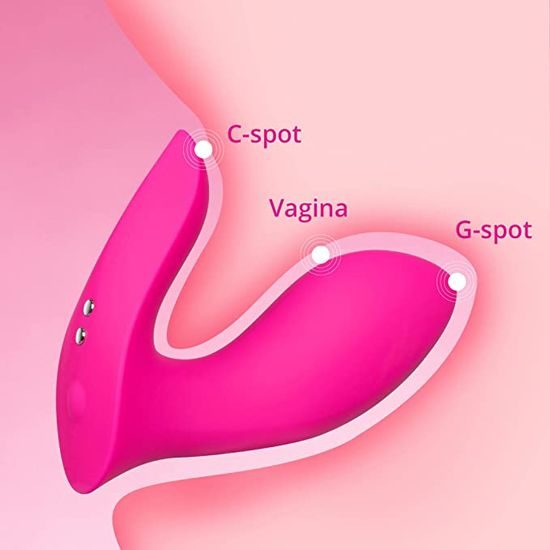 Lovense Flexer Insertable Dual Panty Vibrator