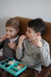 Snackle Box Krabička na občerstvenie 1368 ml - modrozelená