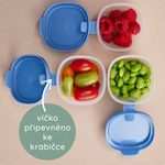 Sada krabiček Snack tubs 3ks - zelené