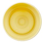 Silikónový chránič na Termofľašu 1l - lemon twist