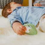 Trio hryzadlo zelené - sage