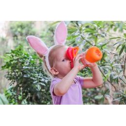 Náhradné slamky a čistiaca kefka