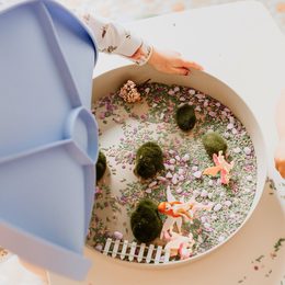 Senzorická krajina, Deštný prales