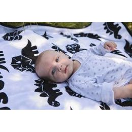 Deka se jménem vzor Dino