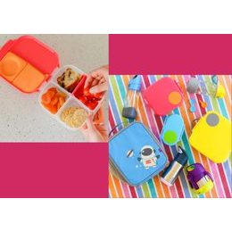 Sada termosiek - emerald forest