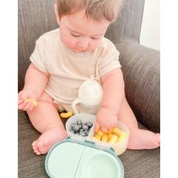 Svačinový box střední - emerald forest