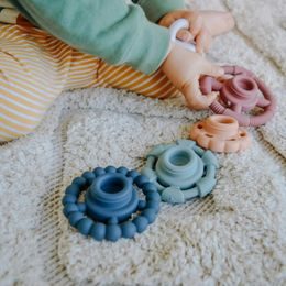 Kývající tučňák, růžový