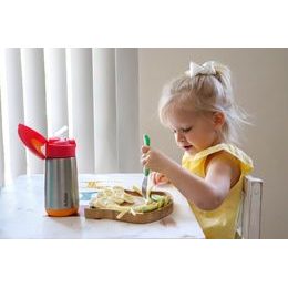 Svačinový box střední - emerald forest