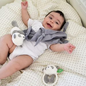 Muchláčci My Teddy