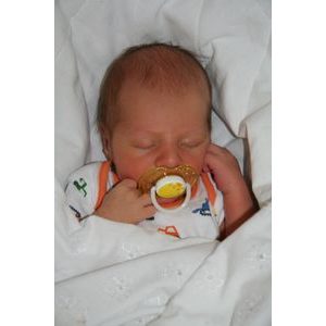 Jak to všechno začalo