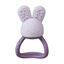 Chladiace hryzátko zajačik - fialové