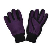 Dámské hezké rukavice fialové