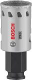 Bosch Accessories 2608901556 vrtací korunka 29 mm 1 ks