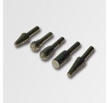 21541 Sada rotační rašple 5ks