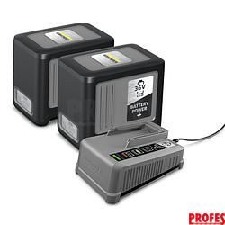 STARTER KIT BATTERY POWER+ 36/60