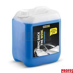 Autošampon 6.295-360.0 5 L