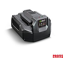 Standardní nabíječka CH2100E