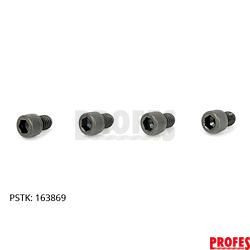 163869	Šroub pro HT08 -4 KS