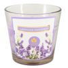 ARÔME Svíčka 120 g ve skle Lavender Provence