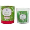 ARÔME Svíčka 120 g, v papírové tubě, Pine & Berries