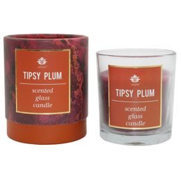 ARÔME Svíčka 120 g, v papírové tubě, Tipsy Plum