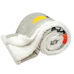 Deka 150 x 200 cm, s beránkem, mikroflanel, 460 GSM