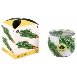 ARÔME Svíčka 90 g, ve skle a flower boxu, Rosemary