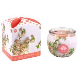ARÔME Svíčka 90 g, ve skle a flower boxu, Cherry Blossom
