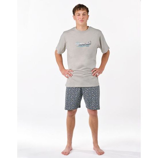 Pánské pyžamo krátké, šité, s potiskem 79190 - sv. šedá tm. šedá
