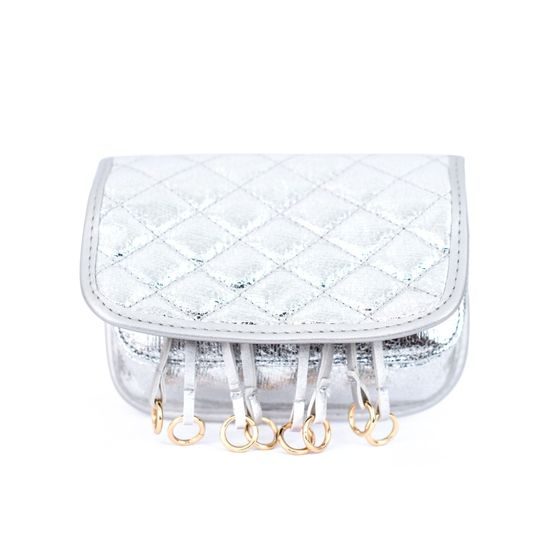 Lesklá ledvinka stříbrná