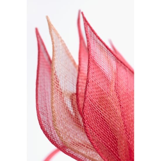 Fascinátor Erebus - meruňkový