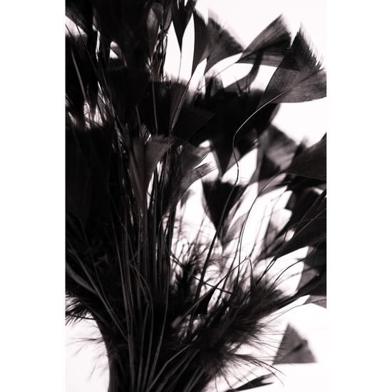 Fascinátor záhad - černý